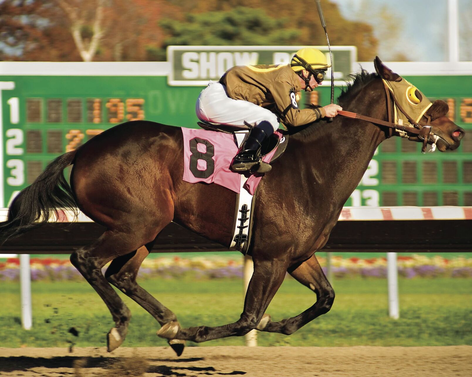 Derby